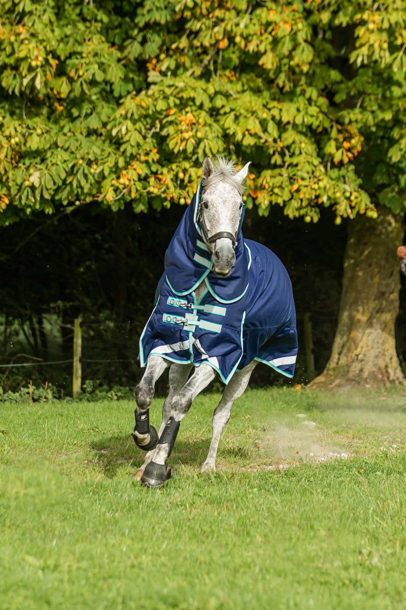 100g Detachable Neck Turnout Rug - Navy for Ultimate Comfort and Protection - roesports