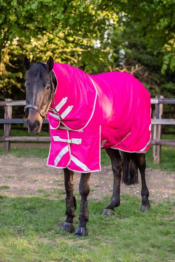 100g Detachable Neck Turnout Rug - Pink - roesports
