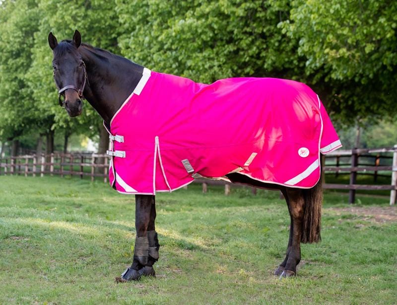100g Detachable Neck Turnout Rug - Pink - roesports