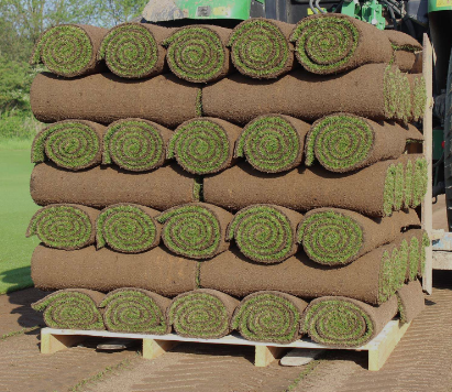 Premier Lawn Turf Bulk Buy Saver - Free Pallet Delivery Available - roesports