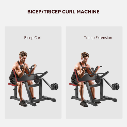 SPORTNOW Adjustable Preacher Curl Bench with Elbow Cushion for Home Gym - Roesports